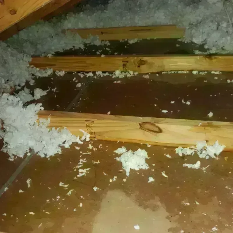 Attic Water Damage in Alliance, NE