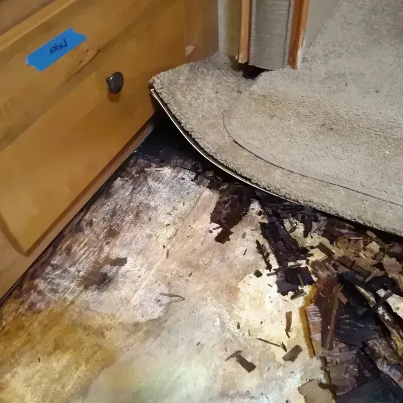 Wood Floor Water Damage in Alliance, NE